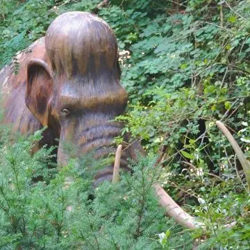 Aprende más sobre la extinción del mamut