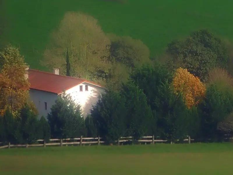 Rodeado de naturaleza
